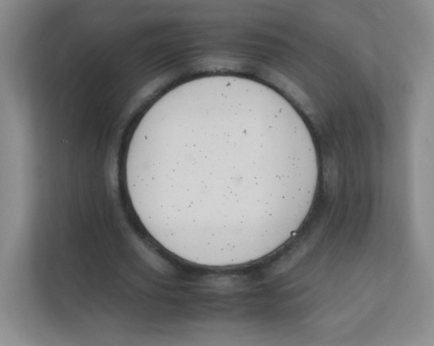 X0000111390629200907311114