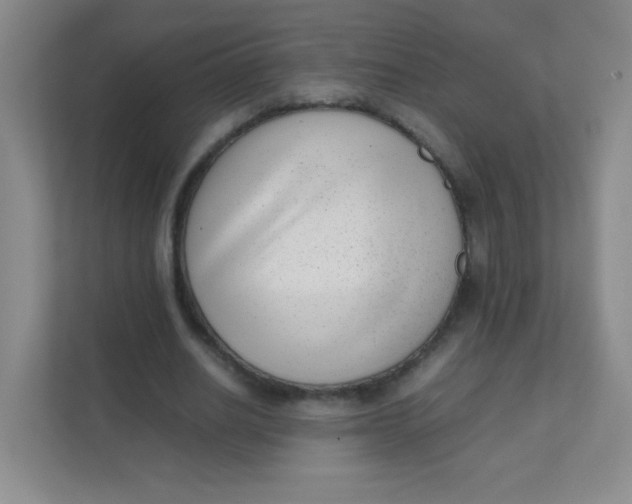 X0000111390630200907311114