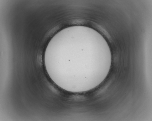 X0000111390633200907311114