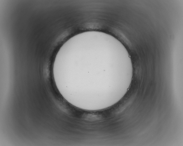 X0000111390635200907311114