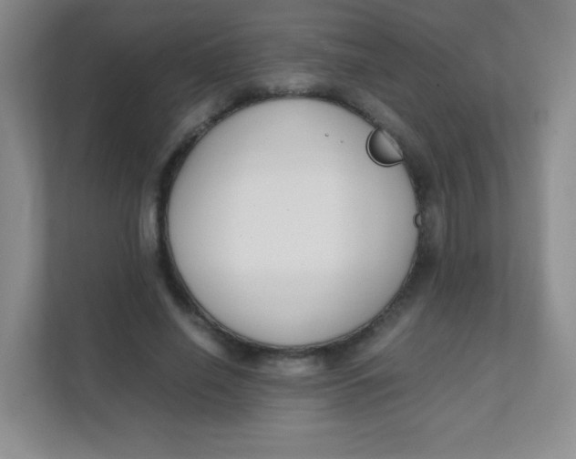 X0000111390638200907311114