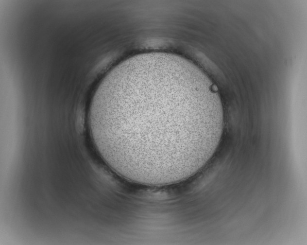 X0000111390640200907311114