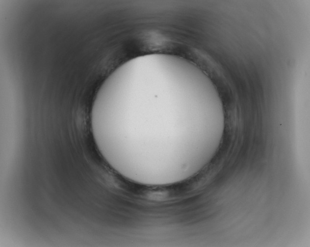 X0000111390653200907311115