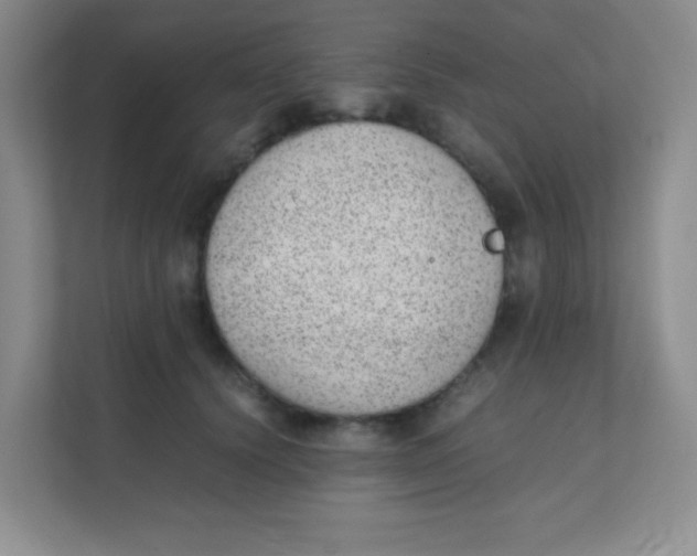 X0000111390656200907311115