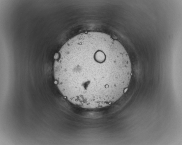 X0000111390657200907311115