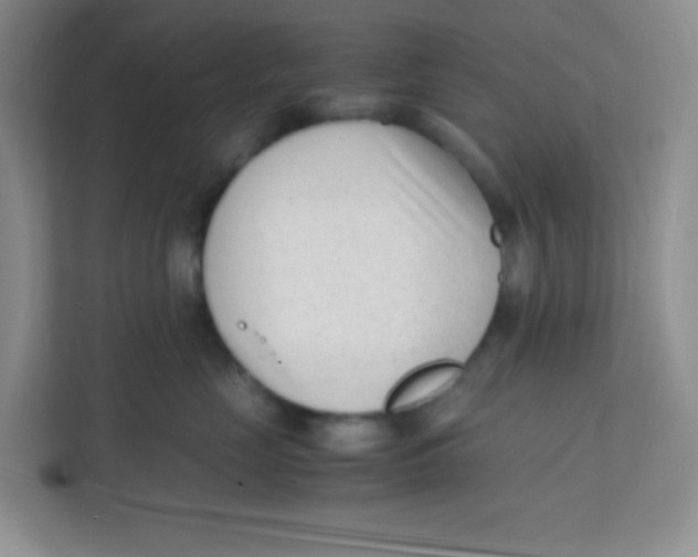 X0000111390669200907311115