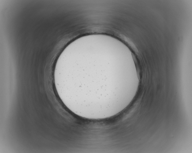 X0000111390673200907311114