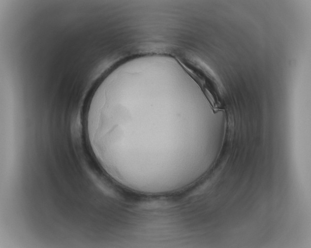 X0000111390674200907311114