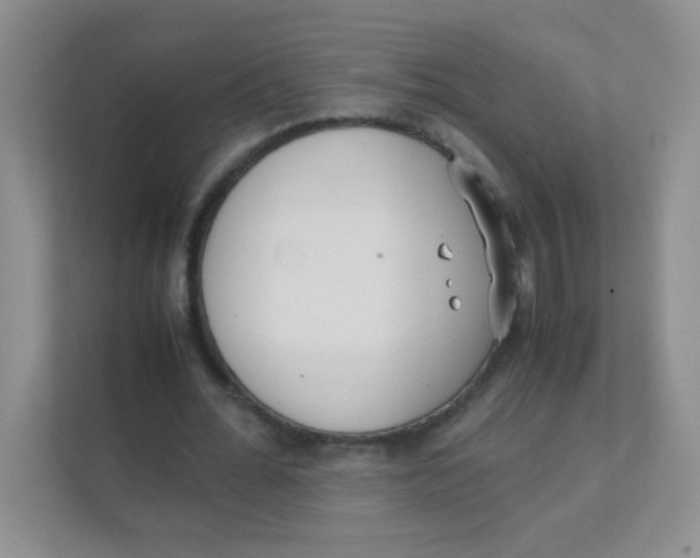 X0000111390676200907311114