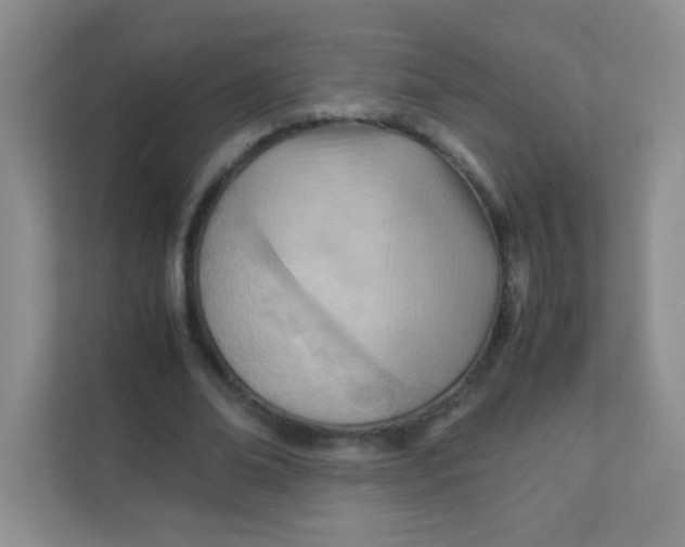 X0000111390678200907311114