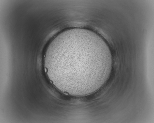 X0000111390679200907311114