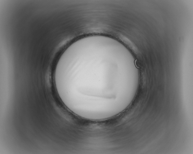 X0000111390680200907311114