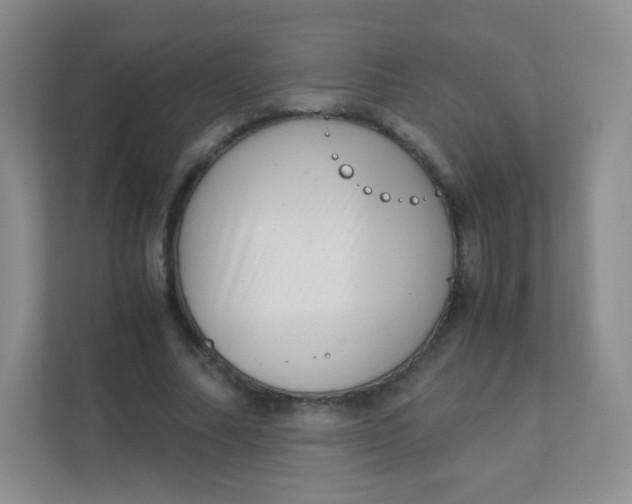 X0000111390682200907311114