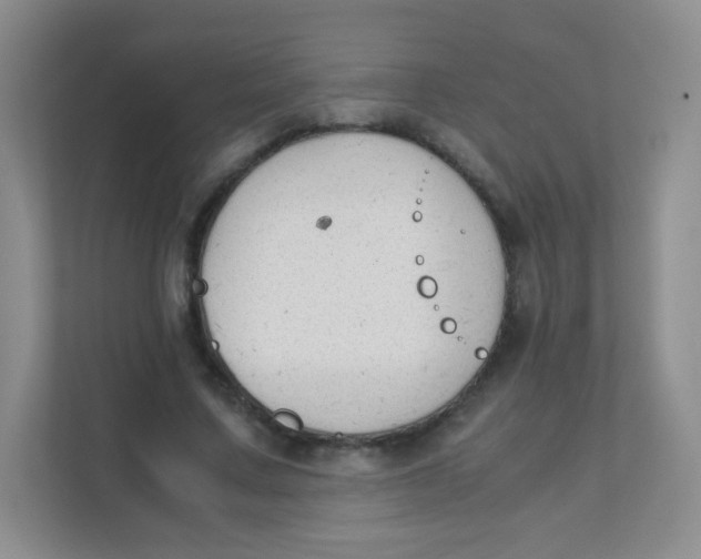 X0000111390683200907311114