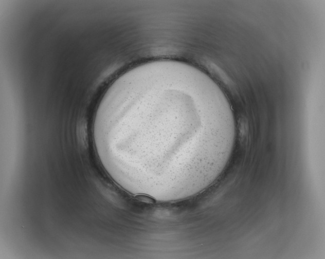 X0000111390684200907311114