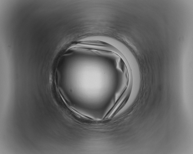 X0000111390685200907311114