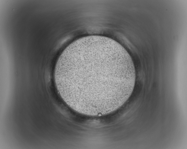 X0000111390687200907311114