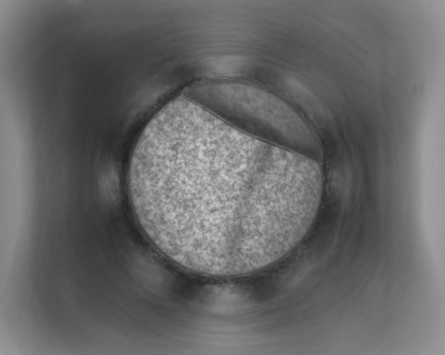 X0000111390688200907311114