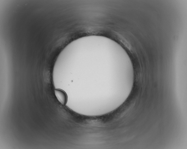 X0000111390689200907311114