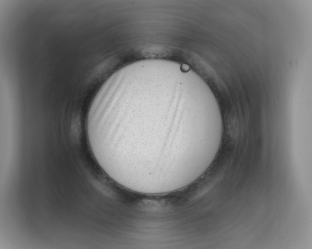 X0000111390690200907311114