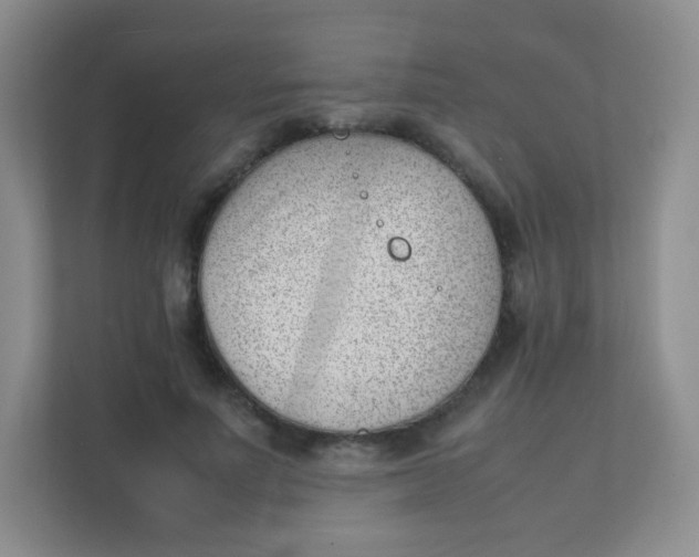 X0000111390691200907311114