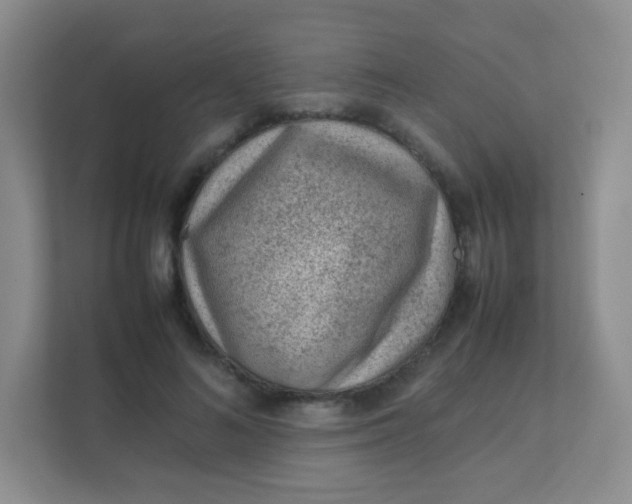 X0000111390692200907311114