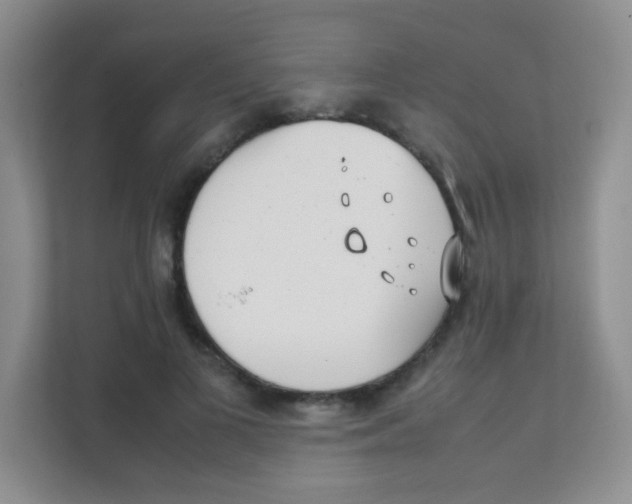 X0000111390693200907311114