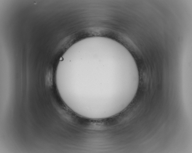 X0000111390694200907311114