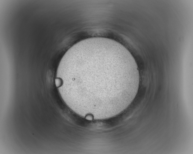 X0000111390695200907311114