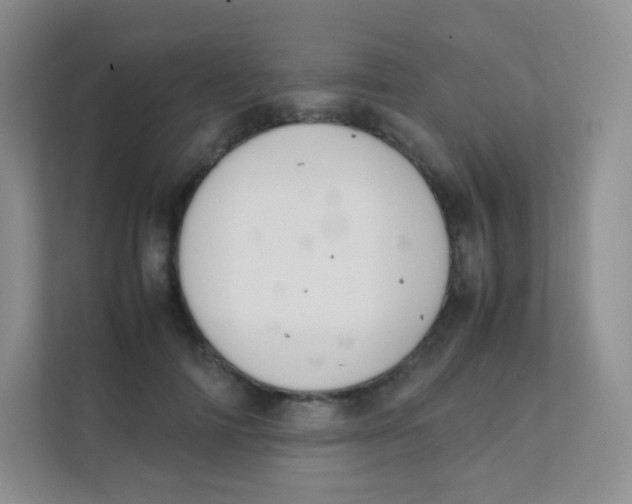 X0000111390698200907311114