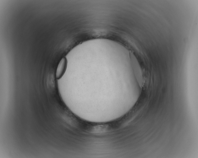 X0000111390700200907311114