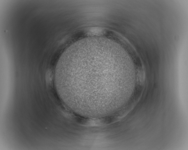 X0000111390701200907311114