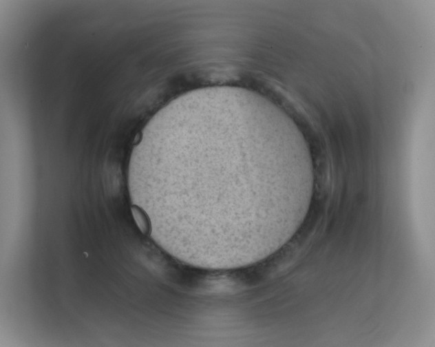 X0000111390704200907311114