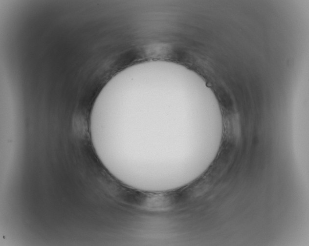 X0000111390705200907311114