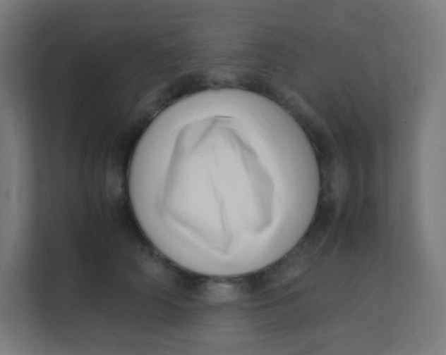 X0000111390706200907311114