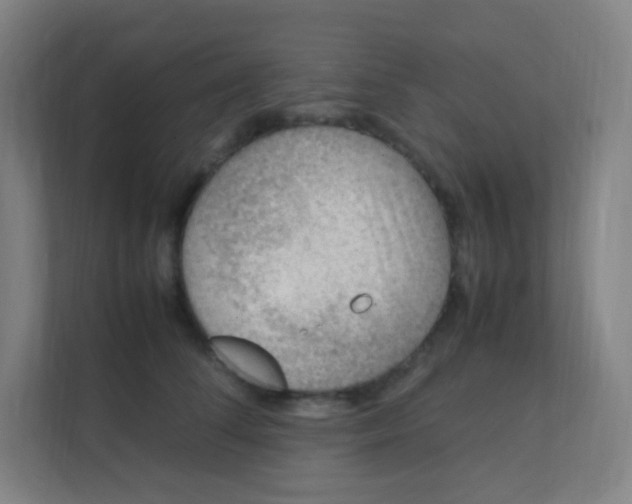 X0000111390708200907311114