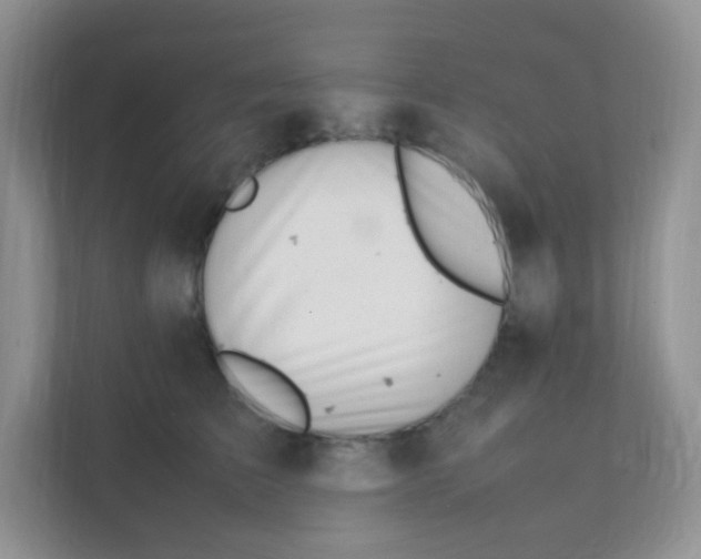 X0000111390709200907311114