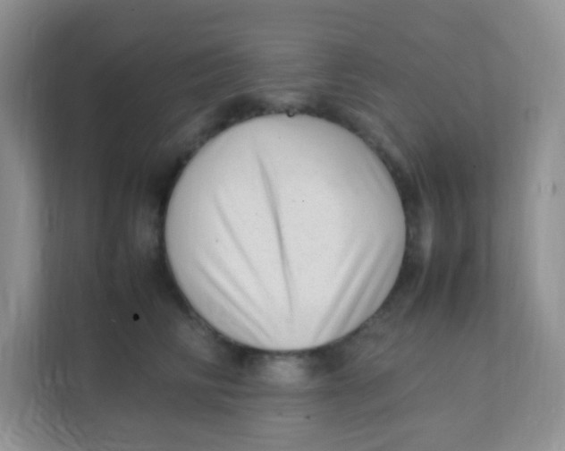 X0000111390710200907311114