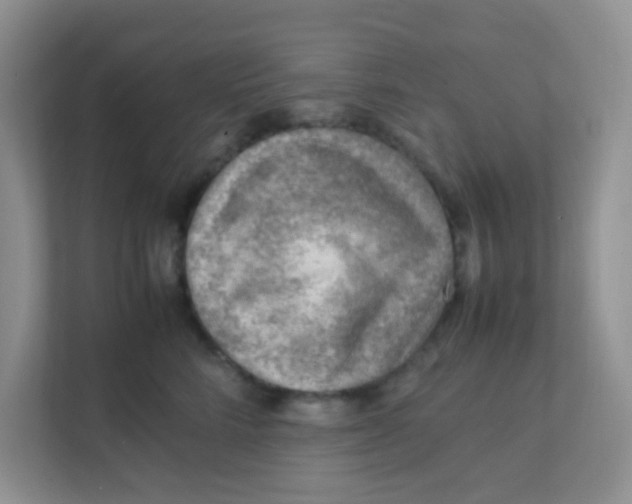 X0000111390712200907311114