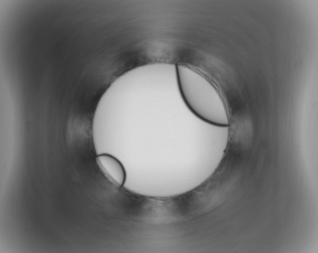 X0000111390713200907311114