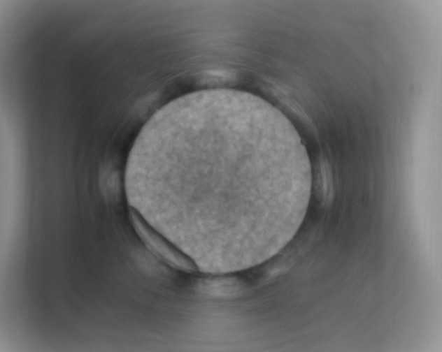 X0000111390716200907311114