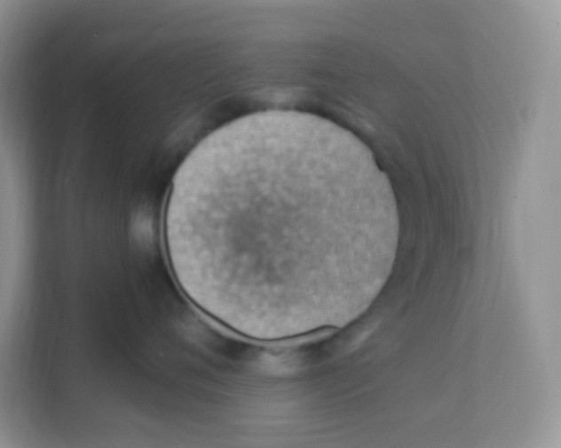 X0000111390720200907311114