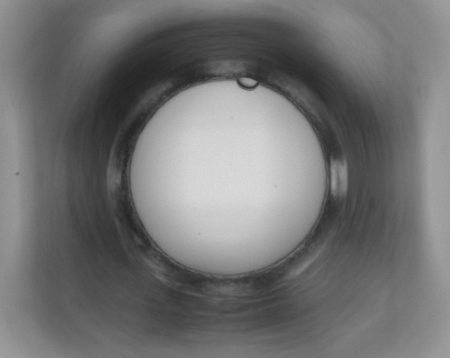 X0000111390723200907311113