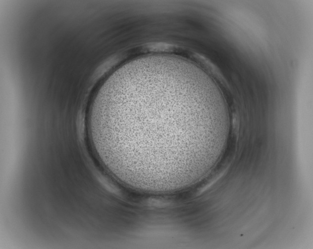 X0000111390725200907311113