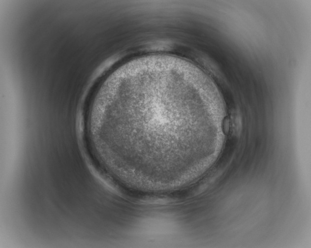 X0000111390726200907311113