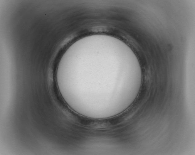 X0000111390727200907311113