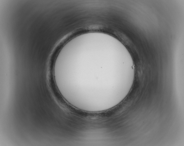 X0000111390728200907311113