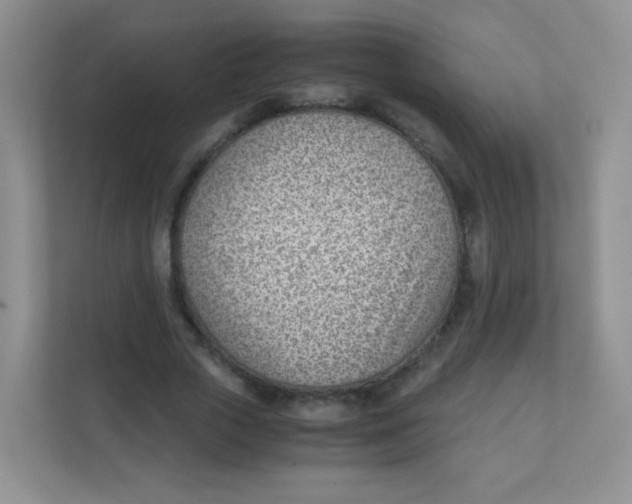 X0000111390729200907311113