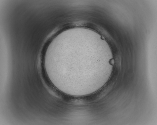 X0000111390730200907311113