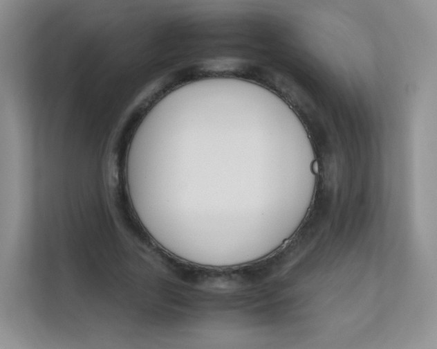 X0000111390731200907311113